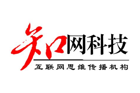 网络与信息安全软件开发 核心业务与发展路径